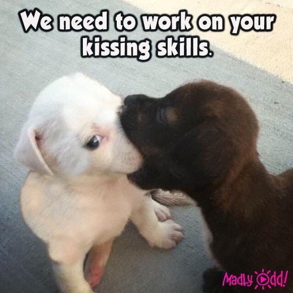 Closet CLOSING Feb/March 2002 - Picture 3 of 3